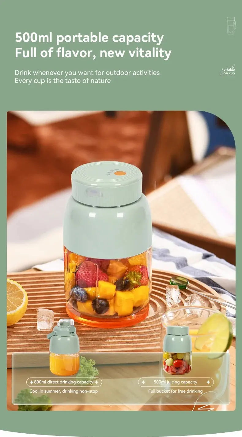 Portable Fruit Blender 800ml Multifunctional Electric Juicer Cup 10 Steel Blades Summer Milkshake Machine USB Rechargeable - RIGBYZ