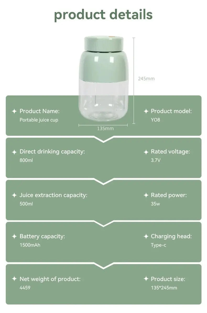 Portable Fruit Blender 800ml Multifunctional Electric Juicer Cup 10 Steel Blades Summer Milkshake Machine USB Rechargeable - RIGBYZ