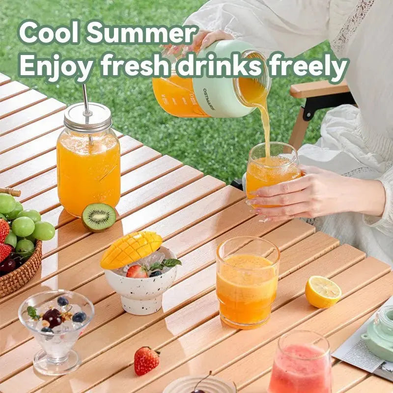 Portable Fruit Blender 800ml Multifunctional Electric Juicer Cup 10 Steel Blades Summer Milkshake Machine USB Rechargeable - RIGBYZ